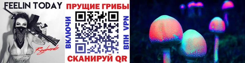 Галлюциногенные грибы GOLDEN TEACHER  Купить  Гуково 